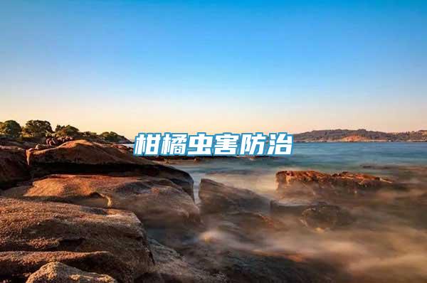 柑橘蟲害防治