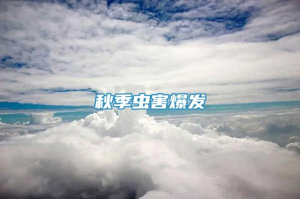 秋季蟲害爆發(fā)
