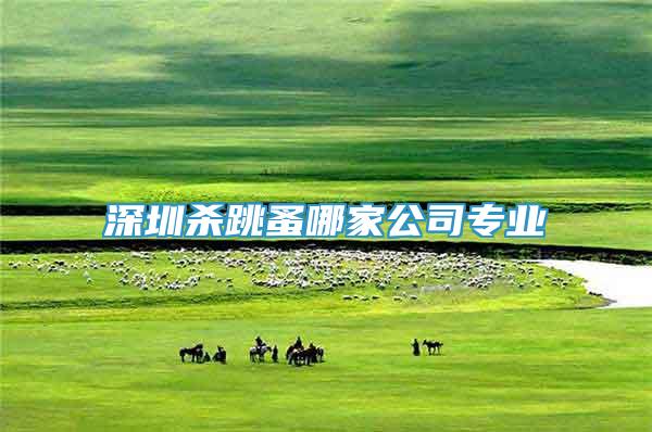 深圳殺跳蚤哪家公司專(zhuān)業(yè)