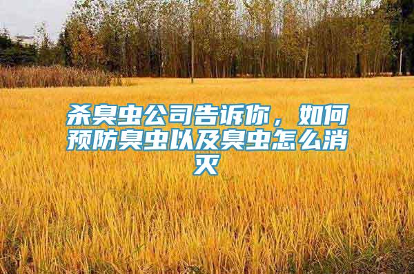 殺臭蟲公司告訴你，如何預(yù)防臭蟲以及臭蟲怎么消滅