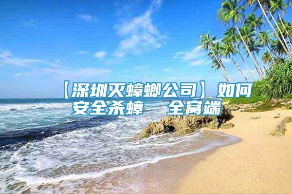 【深圳滅蟑螂公司】如何安全殺蟑  全窩端