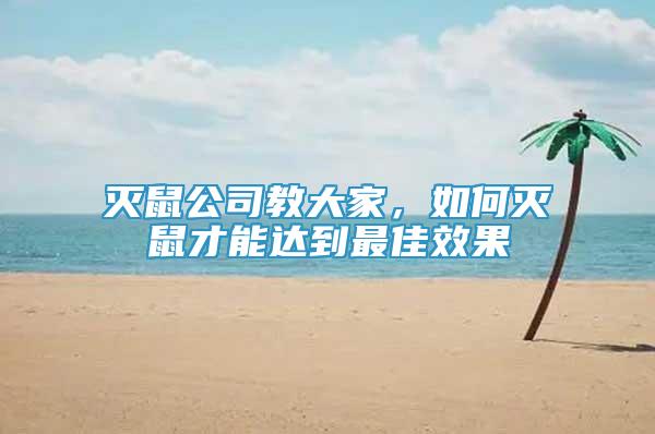 滅鼠公司教大家，如何滅鼠才能達到最佳效果