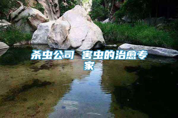 殺蟲公司 害蟲的治愈專家