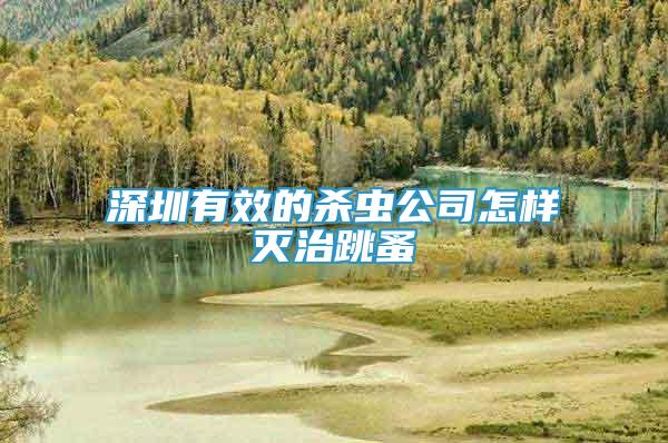 深圳有效的殺蟲公司怎樣滅治跳蚤