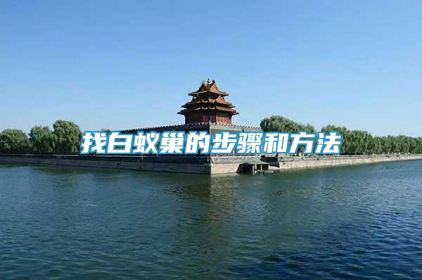 找白蟻巢的步驟和方法