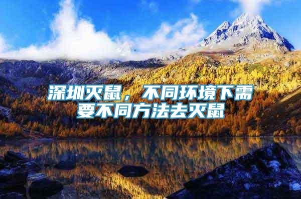 深圳滅鼠，不同環(huán)境下需要不同方法去滅鼠