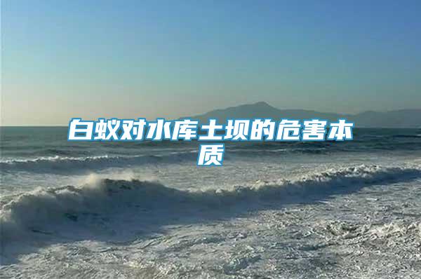 白蟻對水庫土壩的危害本質(zhì)