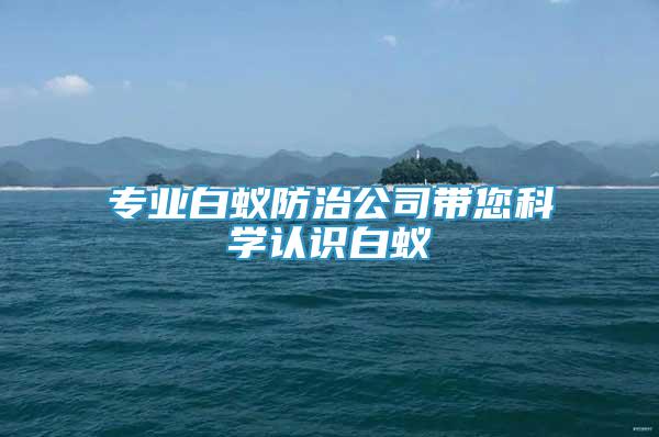 專業(yè)白蟻防治公司帶您科學(xué)認(rèn)識(shí)白蟻