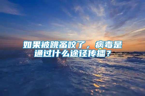 如果被跳蚤咬了，病毒是通過(guò)什么途徑傳播？