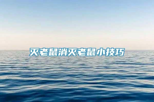 滅老鼠消滅老鼠小技巧