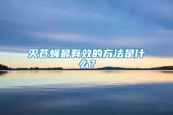 滅蒼蠅最有效的方法是什么？
