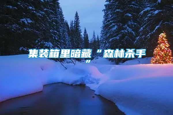 集裝箱里暗藏“森林殺手”