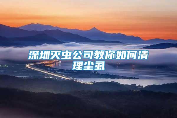 深圳滅蟲公司教你如何清理塵虱