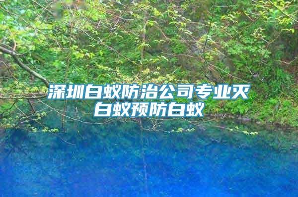 深圳白蟻防治公司專業(yè)滅白蟻預防白蟻