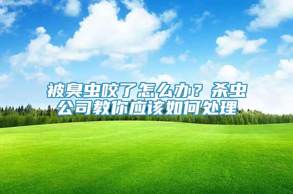 被臭蟲咬了怎么辦？殺蟲公司教你應(yīng)該如何處理