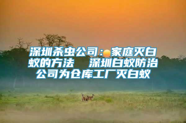 深圳殺蟲公司：家庭滅白蟻的方法  深圳白蟻防治公司為倉(cāng)庫(kù)工廠滅白蟻