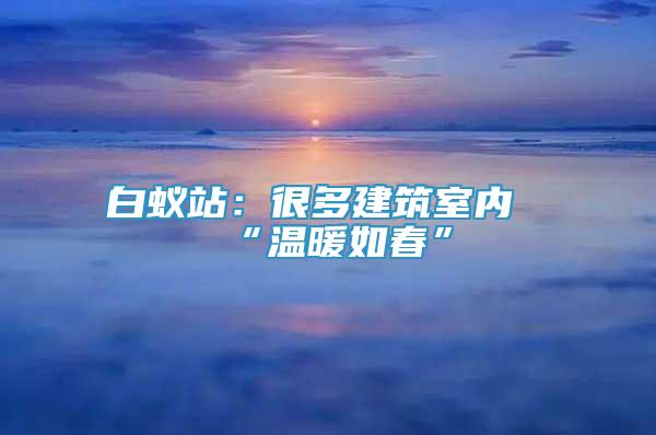 白蟻站：很多建筑室內(nèi)“溫暖如春”