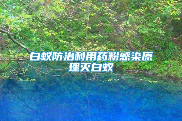 白蟻防治利用藥粉感染原理滅白蟻