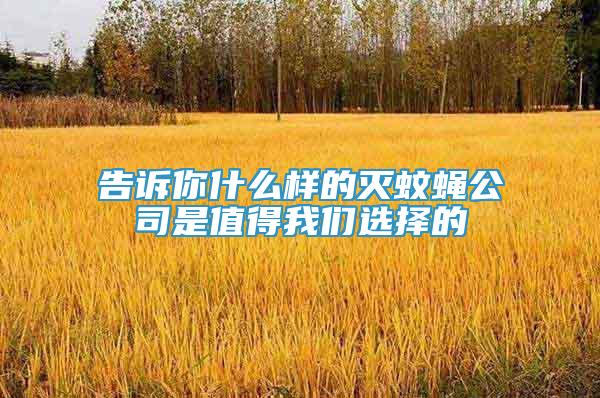告訴你什么樣的滅蚊蠅公司是值得我們選擇的