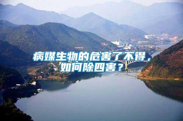 病媒生物的危害了不得，如何除四害？