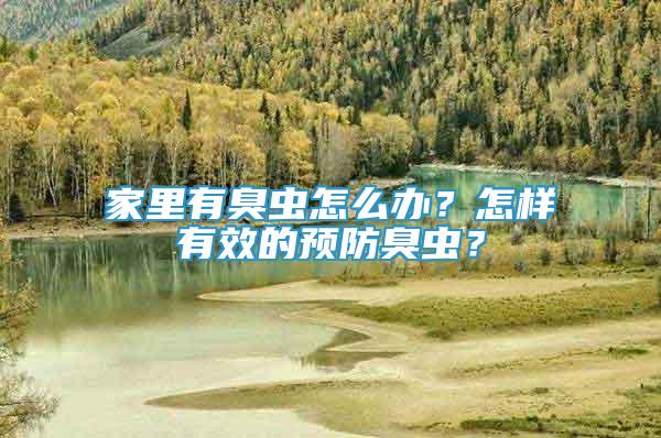 家里有臭蟲怎么辦？怎樣有效的預(yù)防臭蟲？