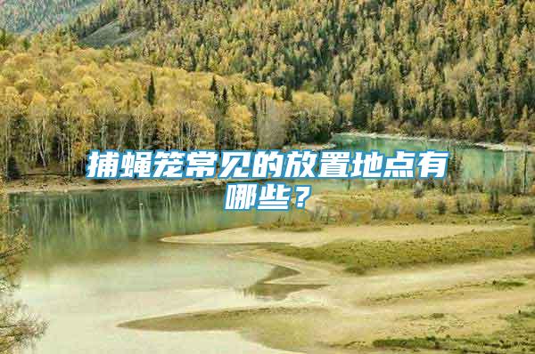 捕蠅籠常見的放置地點(diǎn)有哪些？