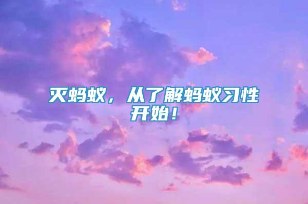 滅螞蟻，從了解螞蟻習(xí)性開始！