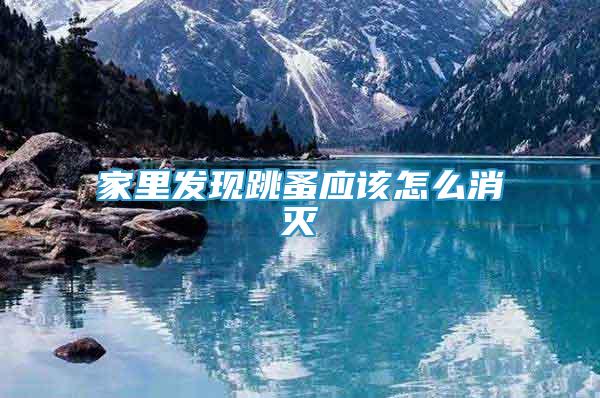 家里發(fā)現(xiàn)跳蚤應(yīng)該怎么消滅