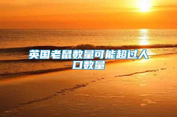 英國老鼠數(shù)量可能超過人口數(shù)量