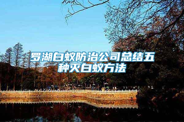 羅湖白蟻防治公司總結(jié)五種滅白蟻方法