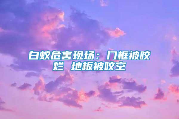 白蟻危害現(xiàn)場：門框被咬爛 地板被咬空