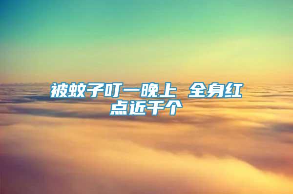 被蚊子叮一晚上 全身紅點(diǎn)近千個(gè)