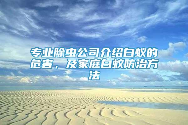 專業(yè)除蟲公司介紹白蟻的危害，及家庭白蟻防治方法