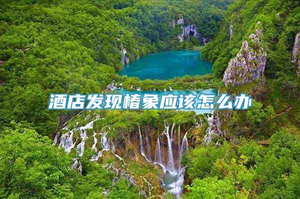 酒店發(fā)現(xiàn)椿象應(yīng)該怎么辦
