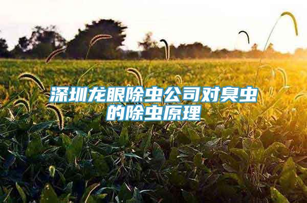 深圳龍眼除蟲公司對(duì)臭蟲的除蟲原理