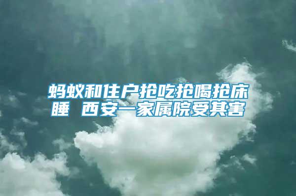 螞蟻和住戶搶吃搶喝搶床睡 西安一家屬院受其害