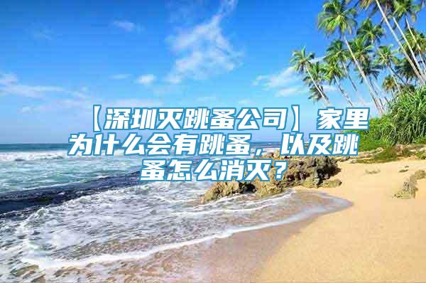 【深圳滅跳蚤公司】家里為什么會有跳蚤，以及跳蚤怎么消滅？