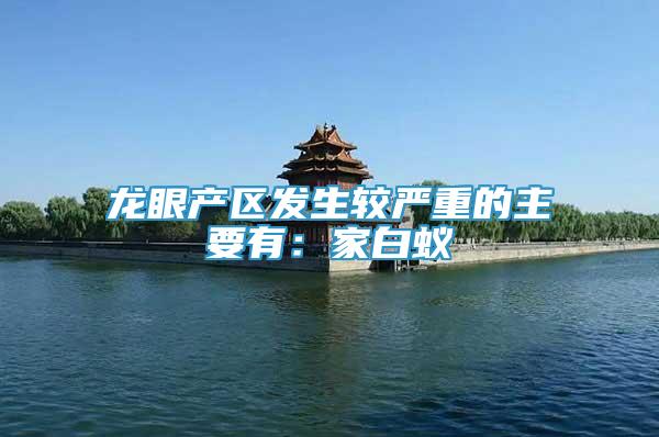 龍眼產(chǎn)區(qū)發(fā)生較嚴(yán)重的主要有：家白蟻