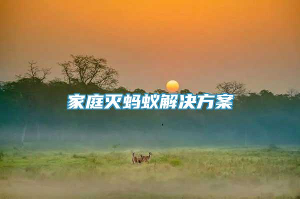 家庭滅螞蟻解決方案