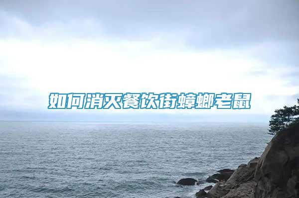 如何消滅餐飲街蟑螂老鼠