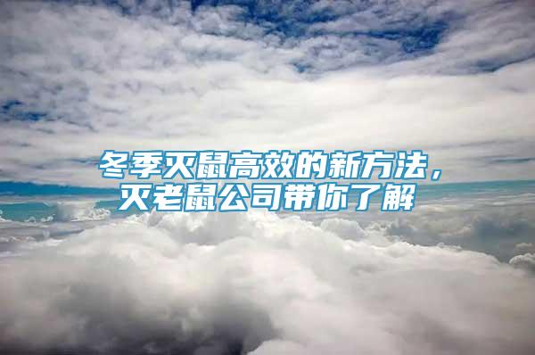 冬季滅鼠高效的新方法，滅老鼠公司帶你了解
