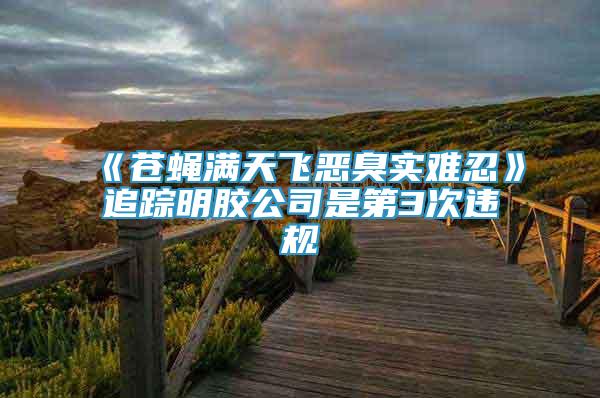 《蒼蠅滿天飛惡臭實(shí)難忍》追蹤明膠公司是第3次違規(guī)