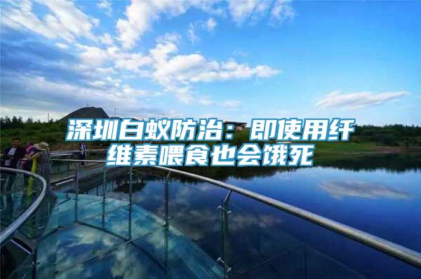 深圳白蟻防治：即使用纖維素喂食也會餓死