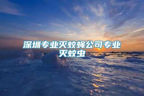 深圳專業(yè)滅蚊蠅公司專業(yè)滅蚊蟲