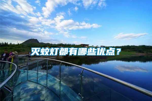 滅蚊燈都有哪些優(yōu)點(diǎn)？