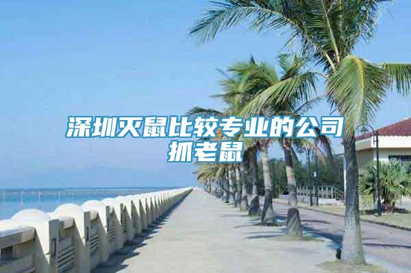 深圳滅鼠比較專業(yè)的公司抓老鼠