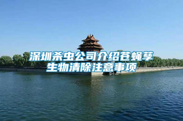 深圳殺蟲公司介紹蒼蠅孳生物清除注意事項