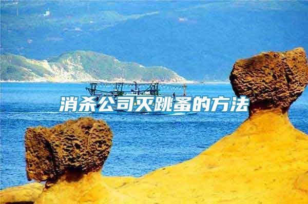 消殺公司滅跳蚤的方法