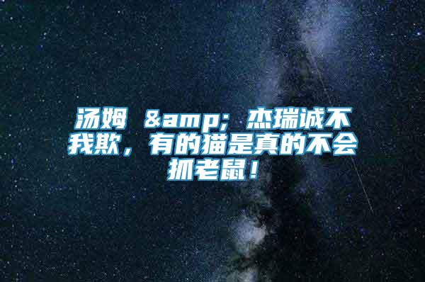 湯姆 & 杰瑞誠不我欺，有的貓是真的不會(huì)抓老鼠！