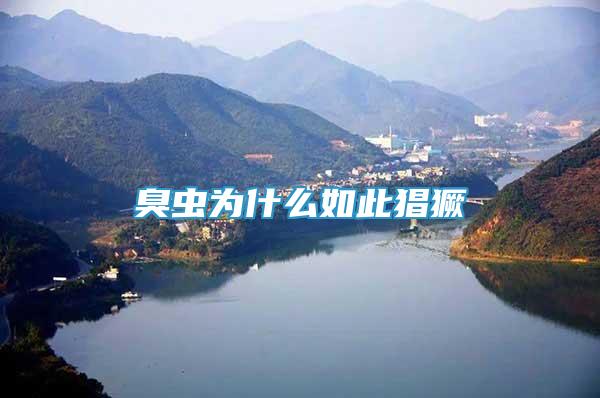 臭蟲為什么如此猖獗